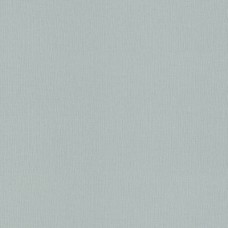 Обои Rasch 975581 Tendencia
