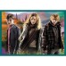 Puzzle Trefl 10in1 In the world of Harry Potter (90392)