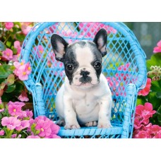 Пазл Castorland 100 French Bulldog Puppy (B-111152)