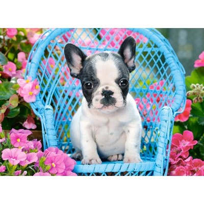 Пазл Castorland 100 French Bulldog Puppy (B-111152)