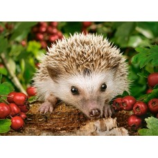 Пазл Castorland 100 Hedgehog With Berries (B-111145)