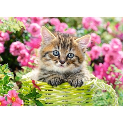 Пазл Castorland 100 Kitten in Flower Garden (B-111039)