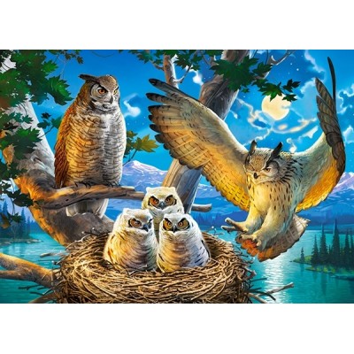 Пазл Castorland 180 Owl Family (B-018437)