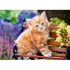 Пазл Castorland 180 Ginger Kitten (B-018178)