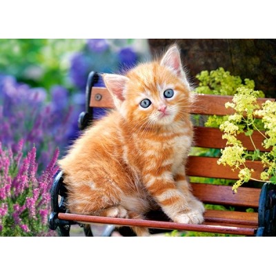 Пазл Castorland 180 Ginger Kitten (B-018178)