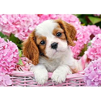 Пазл Castorland 180 Pup in Pink Flowers (B-018185)