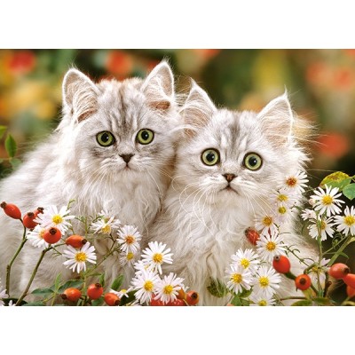 Пазл Castorland 200 Persian Kittens (B-222131)