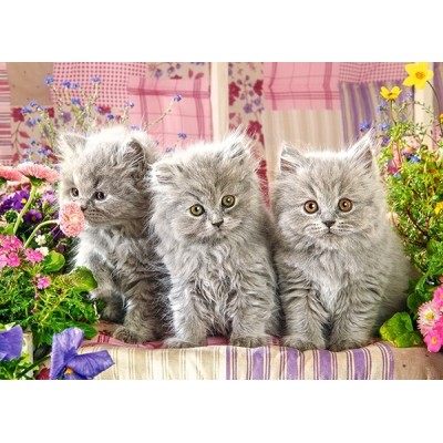 Пазл Castorland 260 Three Grey Kittens (B-27491)