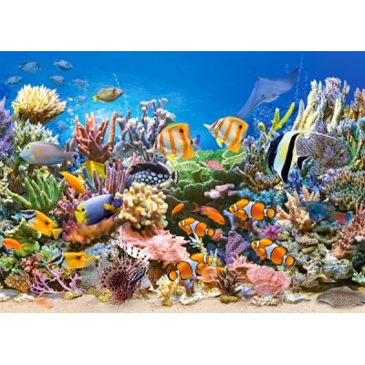 Puzzle Castorland 260 Colours of the Ocean (B-27279)