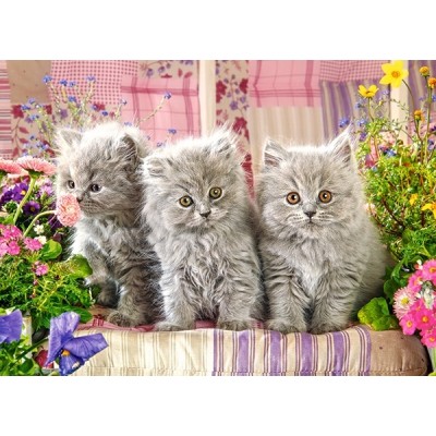 Пазл Castorland 300 Three Grey Kittens (B-030330)