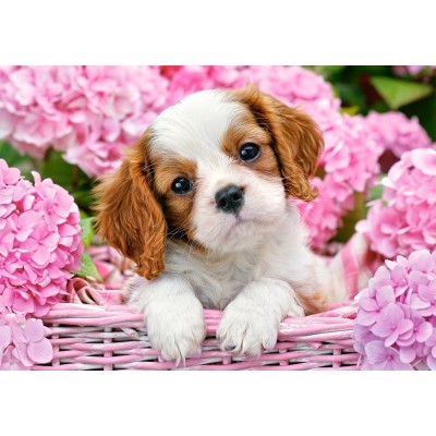 Пазл Castorland 500 Pup in Pink Flowers (B-52233)