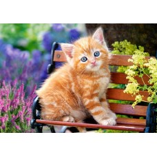 Пазл Castorland 500 Ginger Kitten (B-52240)