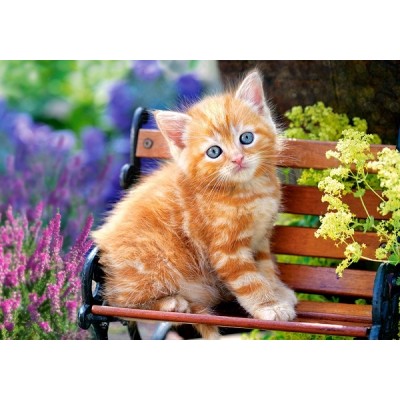 Пазл Castorland 500 Ginger Kitten (B-52240)