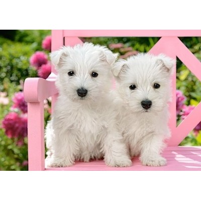 Пазл Castorland 120 Midi White Terrier Puppies (B-13494)