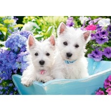 Puzzle Castorland 60 Midi Westie Puppies (B-066100)