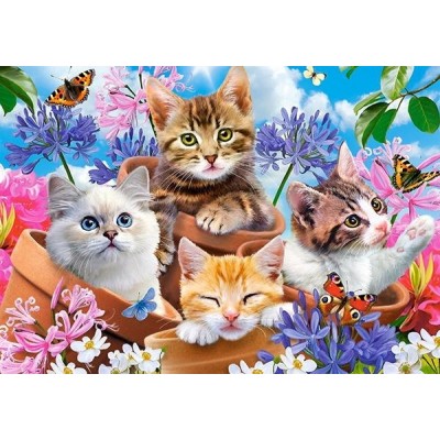 Пазл Castorland 70 Midi Kittens with Flowers (B-070107)