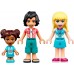 Конструктор Lego Friends: Surfer Beach Fun (41710)