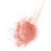 Румяна для лица Bourjois Blush 41