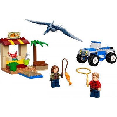 Конструктор Lego Jurassic World: Pteranodon Chase (76943)