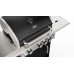 Gratar pe gaz Teka T-BBQ 3100 G BK-SS