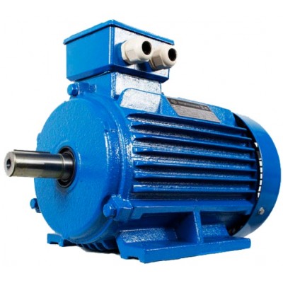 Motor electric Mogilevsk AIR 112 M (10121611)