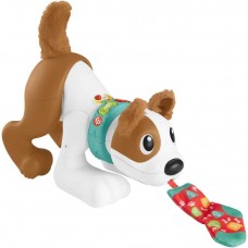 Jucarii interactive Fisher Price Crawl With Me Puppy (HHH95)