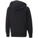 Детская толстовка Puma Alpha Full-Zip Hoodie Fl B Puma Black 128