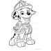 Пазл Trefl 2in1 Paw Patrol (43004)