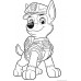 Пазл Trefl 2in1 Paw Patrol (43004)