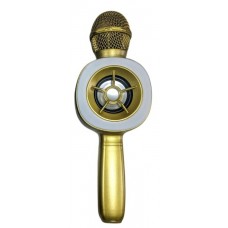 Microphone Kinder Gold (WS-858/25a)