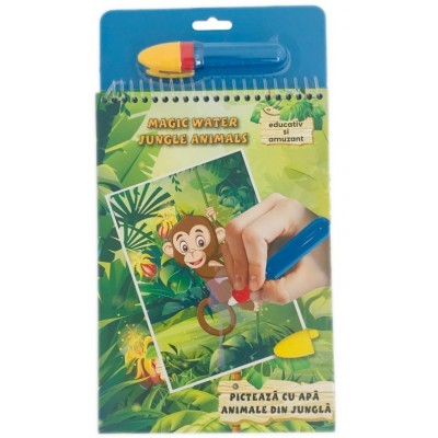 Водная раскраска ChiToys (APJ31005)