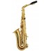 Saxofon Parrot 6430 GL