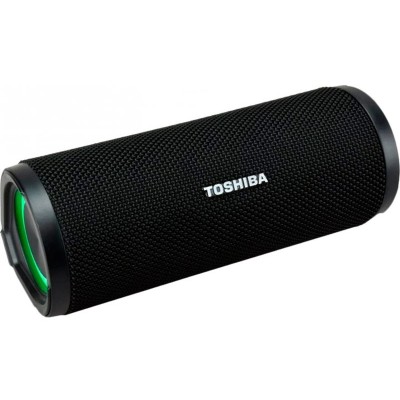 Портативная акустика Toshiba TY-WSP102