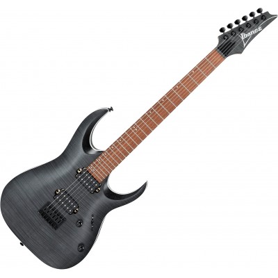 Электрическая гитара Ibanez RGA42FM TGF (Transparent Gray Flat)