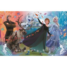 Пазл Trefl 160 Discover the World of Frozen (50022)