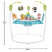 Прыгунок Fisher-Price (GWD42)