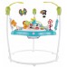 Прыгунок Fisher-Price (GWD42)