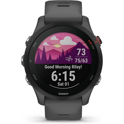 Смарт-часы Garmin Forerunner 255 Slate Grey (010-02641-10)