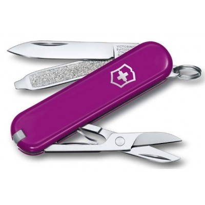 Мультитул Victorinox Classic 0.6223.52G