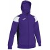 Мужская олимпийка Joma 101271.552 Purple/White M