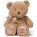 Мягкая игрушка Gund My First Teddy (6055515)