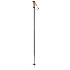 Bețe de schi Elan Speed Rod Black 110cm