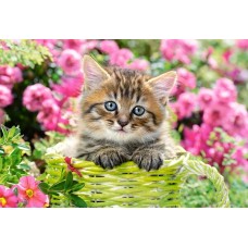 Пазл Castorland 500 Kitten In Flower Garden (B-52974)