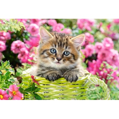 Пазл Castorland 500 Kitten In Flower Garden (B-52974)