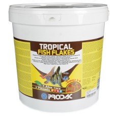 Hrană pentru pește Prodac Tropical Fish Flakes 1kg