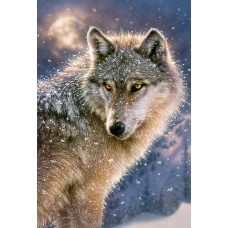 Puzzle Castorland 500 Line Wolf (B-52431)