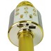 Микрофон Leantoys (10001)