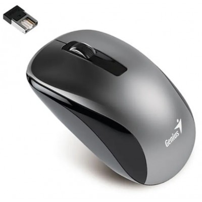 Mouse Genius NX-7010 Grey