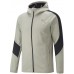 Мужская толстовка Puma Evostripe Warm Full-Zip Hoodie Pebble Gray S