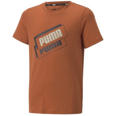 Детская футболка Puma Alpha Holiday Tee B Warm Chestnut 128